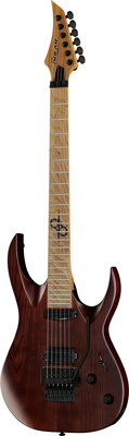 Solar Guitars AB 1.6FRNB Nat Brown